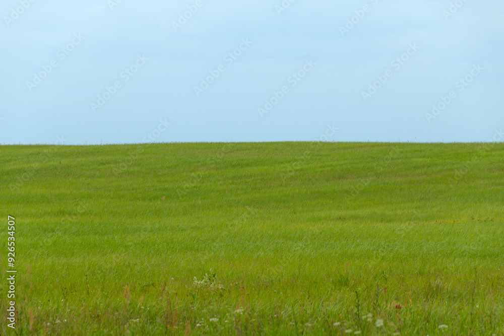 Green meadow and blue sky. Calm summer landscape. Green meadow and blue sky. Calm summer landscape.