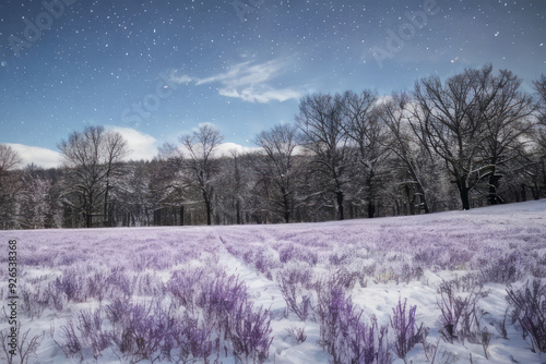 Snowy winter forest landscape with frost-covered trees under a blue sky