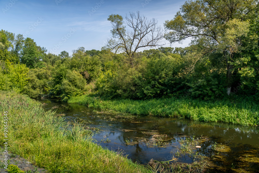 The beautiful river at the forest of Kursk oblast, a border at western Russia at the border with Ukraine.
The beautiful river at the forest of Kursk oblast, a border at western Russia at the border with Ukraine.