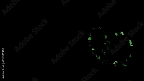 green leaves flying circular path. animated video isolated on alpha channel background.