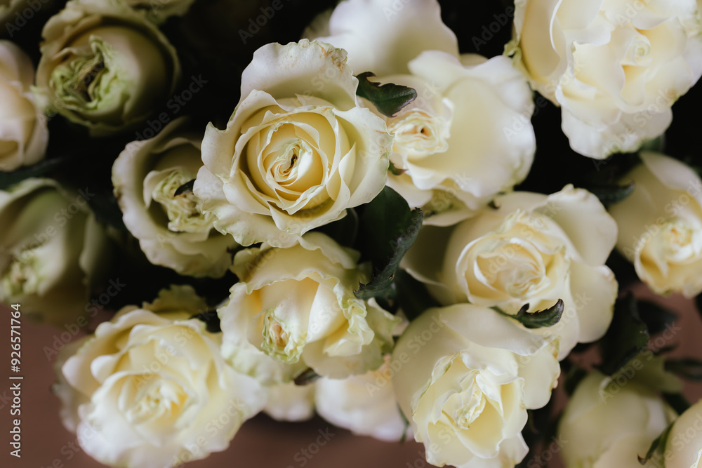 Obraz premium A vibrant bouquet of fresh roses, bursting with color and delicate petals, perfect for celebrating love, anniversaries, or special occasions, capturing nature's beauty and fragility.