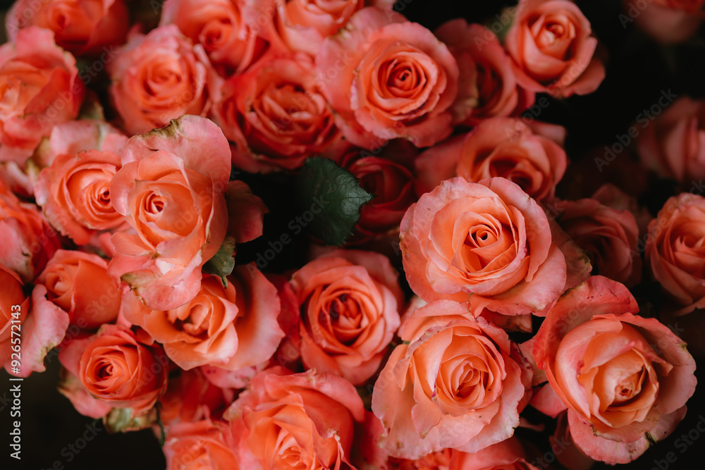 A vibrant bouquet of fresh roses, bursting with color and delicate petals, perfect for celebrating love, anniversaries, or special occasions, capturing nature's beauty and fragility. A vibrant bouquet of fresh roses, bursting with color and delicate petals, perfect for celebrating love, anniversaries, or special occasions, capturing nature's beauty and fragility.