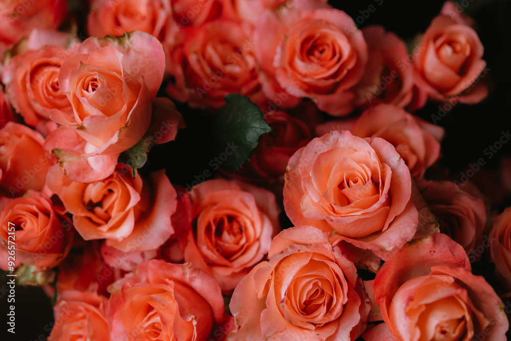 A vibrant bouquet of fresh roses, bursting with color and delicate petals, perfect for celebrating love, anniversaries, or special occasions, capturing nature's beauty and fragility. A vibrant bouquet of fresh roses, bursting with color and delicate petals, perfect for celebrating love, anniversaries, or special occasions, capturing nature's beauty and fragility.