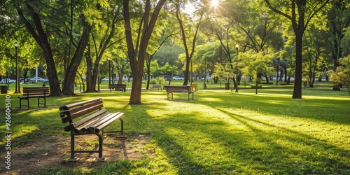 Fototapeta Naklejka Na Ścianę i Meble -  A tranquil park scene with benches, lush greenery, and sunlight filtering through trees, perfect for relaxation and nature lovers.