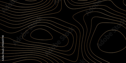 Abstract light pattern Vector illustration. Topographic map background concept. Vibrant neon lights pulsating patterns. Colorful topography contour lines isolated on black background.	