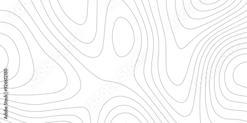 Abstract wave paper curved reliefs background .gradient multicolor wave curve lines banner background design .topographic contours map background .Vector geographic contour map.	