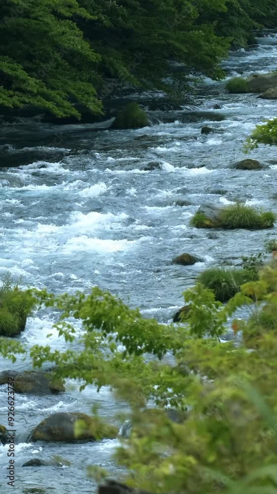Slow motion of abundant stream of water flowing in a mountain river. Slow motion of abundant stream of water flowing in a mountain river.