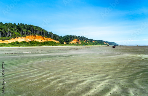 Moclips Beach And Trees 4 photo