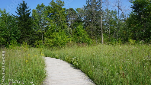 Gravel Pathway Through the Woods at Schlitz Audubon