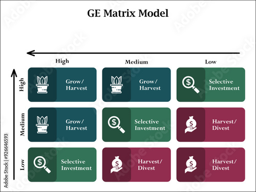GE Matrix Model. Infographic template with icons and description placeholder