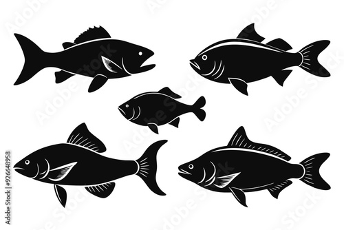 collection of fish