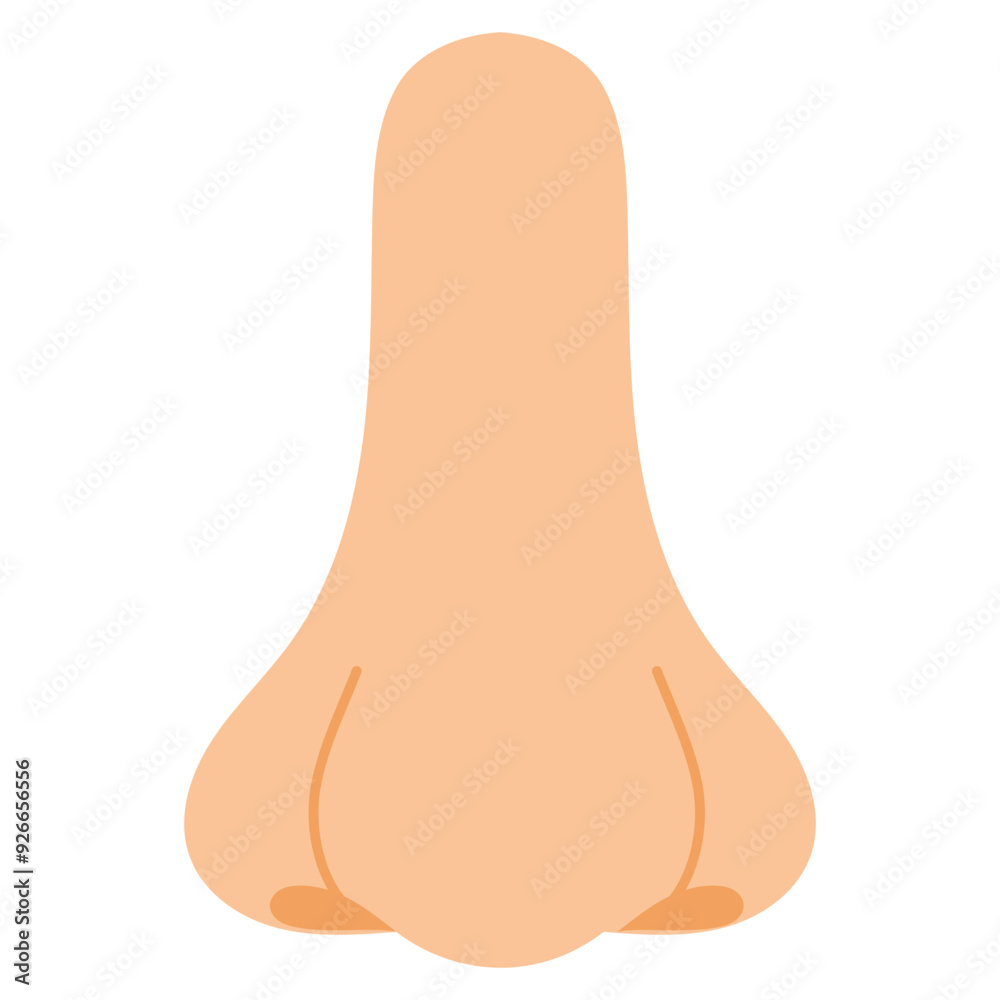 nose illustration nose illustration
