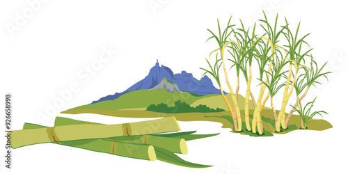 Sugarcane fields with famous Pieter Both mountain in the background. Vector landscape of Moka mountain range, tourist attraction of Mauritius island. Horizontal illustration of landmark in flat style.