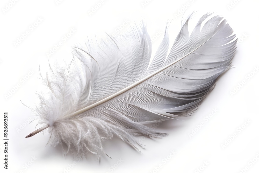 A delicate white feather isolated on a white background, symbolizing purity, lightness, freedom, peace, and tranquility. A delicate white feather isolated on a white background, symbolizing purity, lightness, freedom, peace, and tranquility.