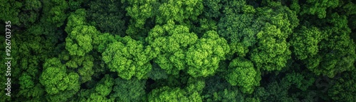 Aerial view of a lush green forest canopy, showcasing dense tree coverage and vibrant foliage in a natural setting.