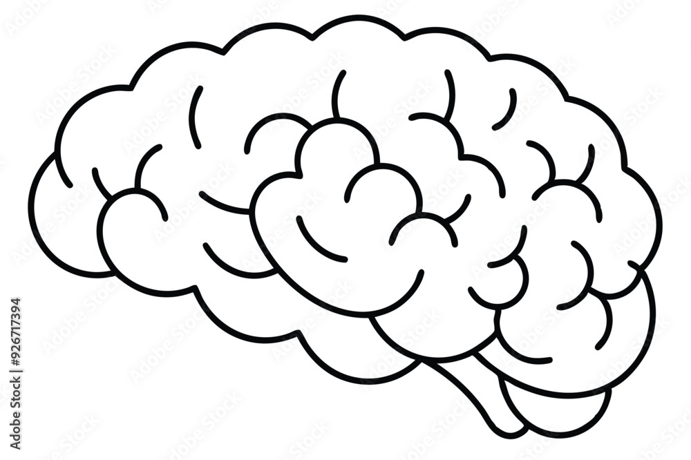 Brain line illustration mind vector Brain line illustration mind vector