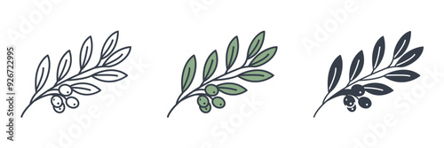 Olive Branch icon symbol vector illustration isolated on white background