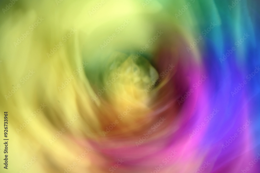 Fototapeta premium Róża - rozmycie