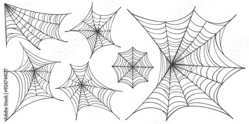 illustration of a spider web halloween frame, spider web vector eps