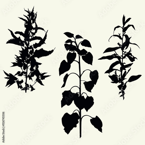 Silhouettes of plants from the garden - sunflower and nettle.eps