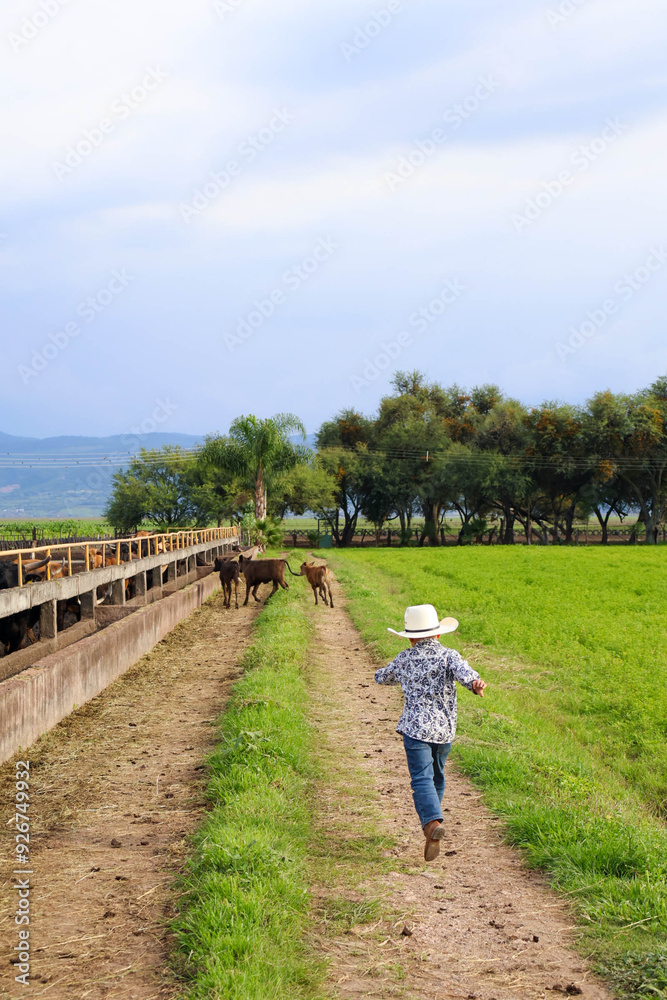 Little cowboy running in the farm with little cows in the grass. Sunny day of summer. Little cowboy running in the farm with little cows in the grass. Sunny day of summer.