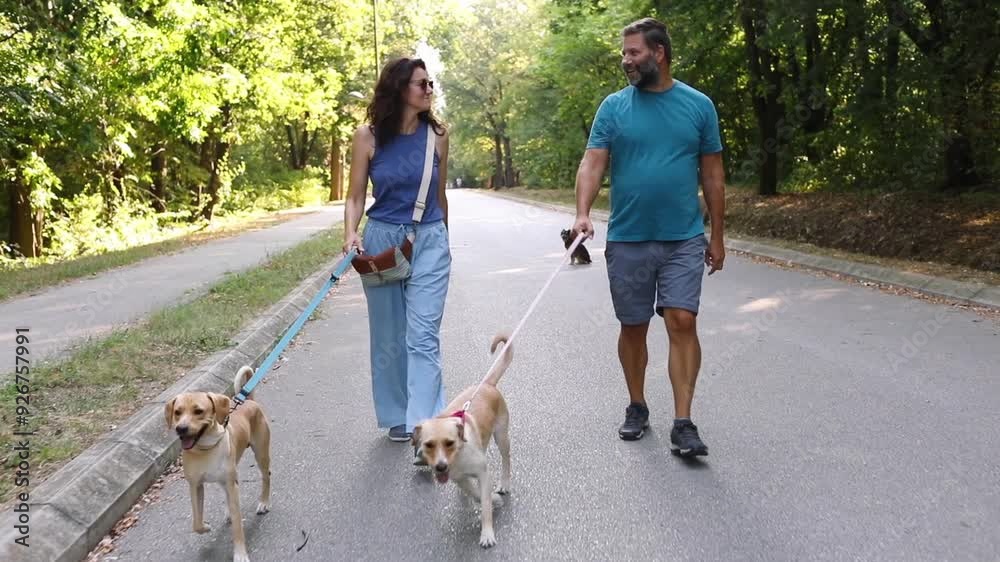 Couple enjoys walk guiding their three dogs Couple enjoys walk guiding their three dogs