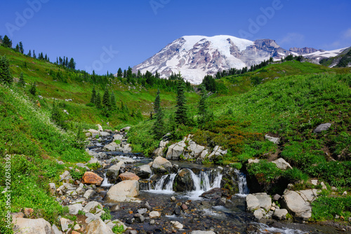 Edith Creek flowing across green summer meadow in front of Mount Rainier photo