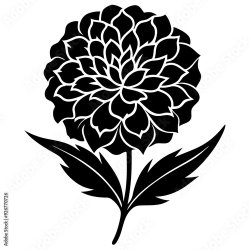 marigold flower logo vector silhouette illustration with white background 