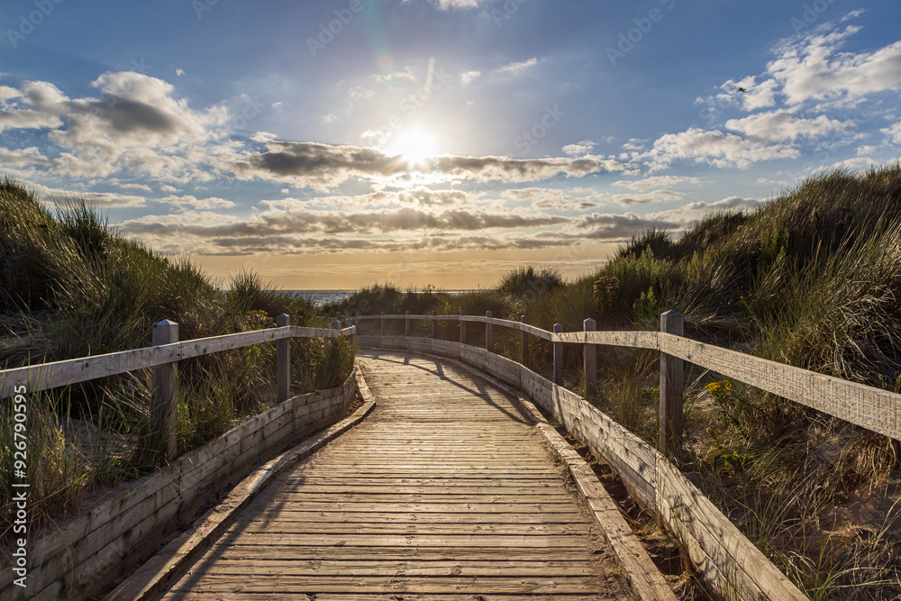 Fototapeta premium A view along a wooden boardwalk leading to the beach, with evening light