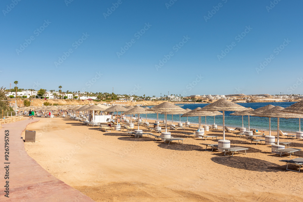 Obraz premium Sunny resort beach with palm tree at the coast shore of Red Sea in Sharm el Sheikh, Sinai, Egypt. Bright sunny light.