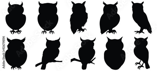 Owl silhouette set vector design big pack of bird illustration and icon