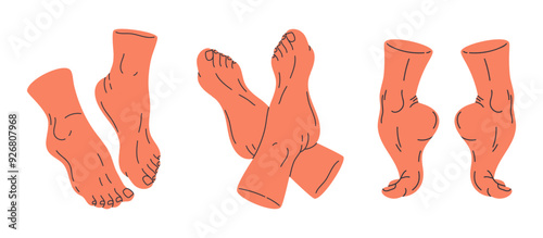 Barefoot feet. Human bare legs in different poses, front, side feet view flat vector illustration set. Standing and crossed feet