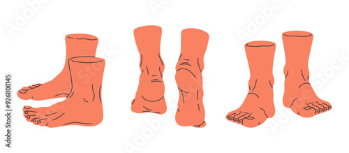 Human barefoot feet. Bare human legs in different poses, back, front, side feet view flat vector illustration set. Walking and standing feet