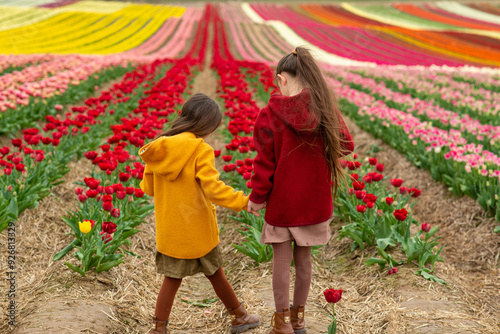 two girls walking in a tulip field