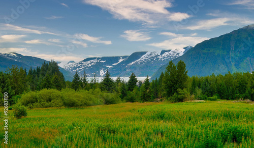 Scenes of the Abundent Nature in Alaska photo