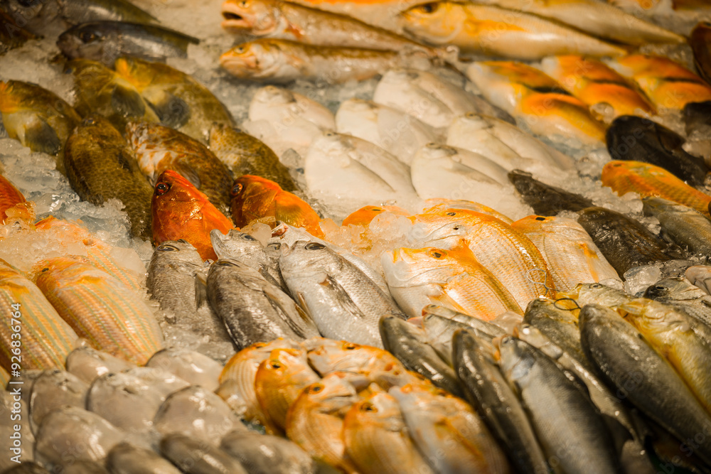 a market stall filled with various fresh, vibrant-colored seafood