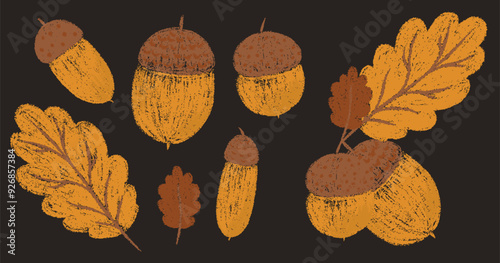 Autumn leaves and acorns set. Fall orange chalk drawing forest collection. Pencil texture freehand childish elements set. Crayon textured kids isolated vector illustration 