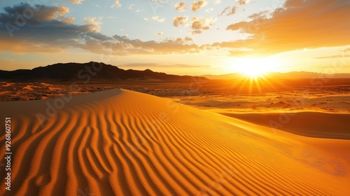 Golden light of sunset washing over a desert landscape, casting long shadows across the sand