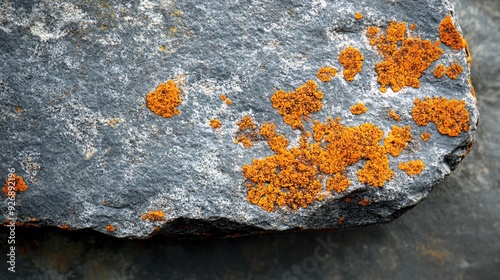 Close-up of a rock surface with orange lichen growth, showcasing natural textures and colors.