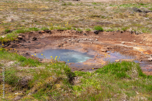 Geysir Iceland, small geysers developing in thermal field