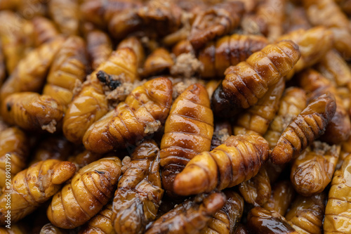 Full frame shot of fried silkworm pupae. Silkworm pupae are a good source of protein, lipids, minerals, and vitamins and are considered a good source of nutrients for humans.