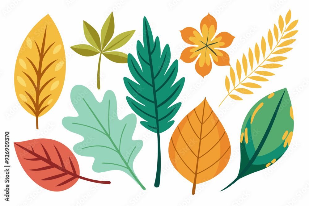 A Collection of Colorful Autumn Leaves and Foliage A Collection of Colorful Autumn Leaves and Foliage