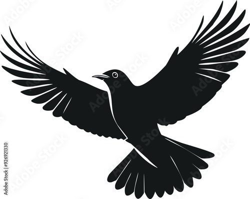 Silhouette bird flying