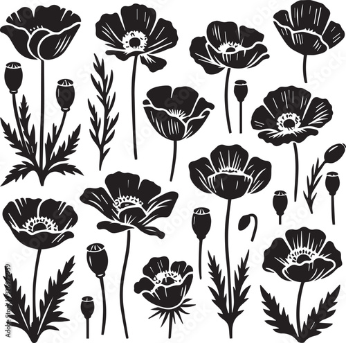 poppy flower black silhouette illustration vector Set, Poppy flower silhouette,