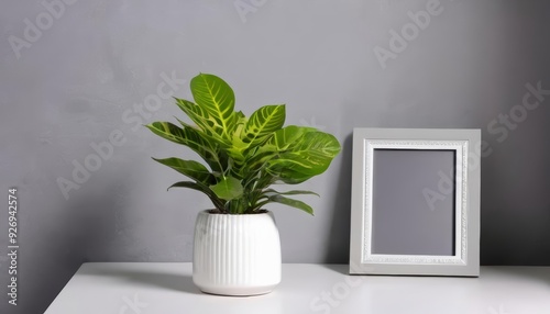  Bring life to your space with a touch of greenery and minimalist decor