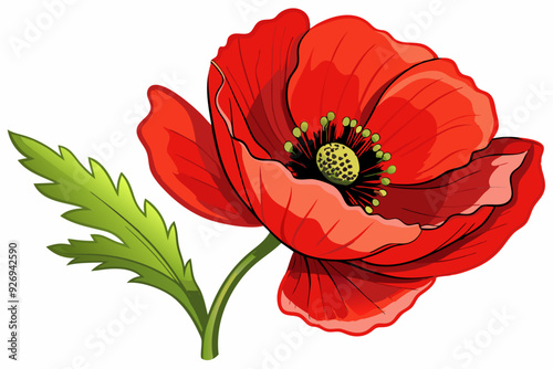 A Single Red Poppy Flower with Green Stem and Leaf