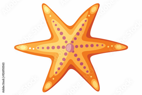 Orange and Pink Starfish with Circular Patterns
