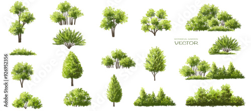  Vector watercolor green  tree or forest side view isolated on white background for landscape and architecture drawing,elements for environment or and garden,Shrub for section