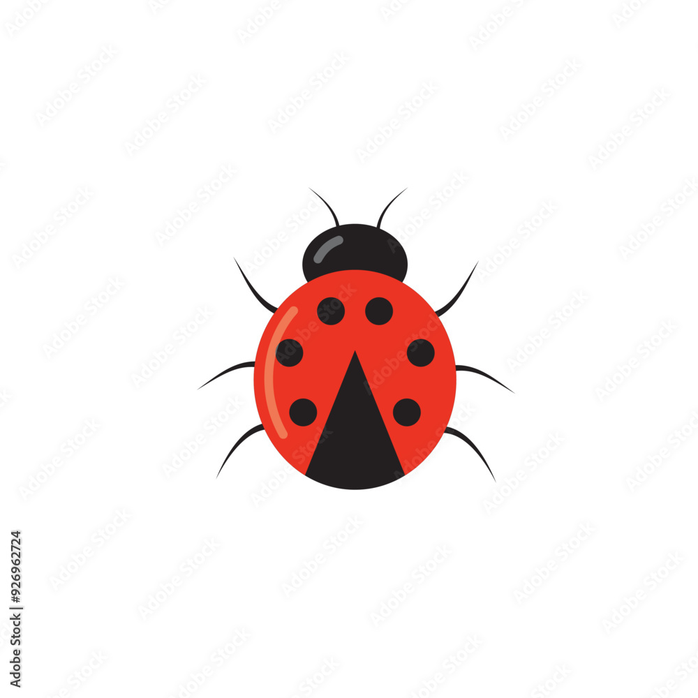 Ladybug cute character. Little red ladybird. Vector isolated on white.