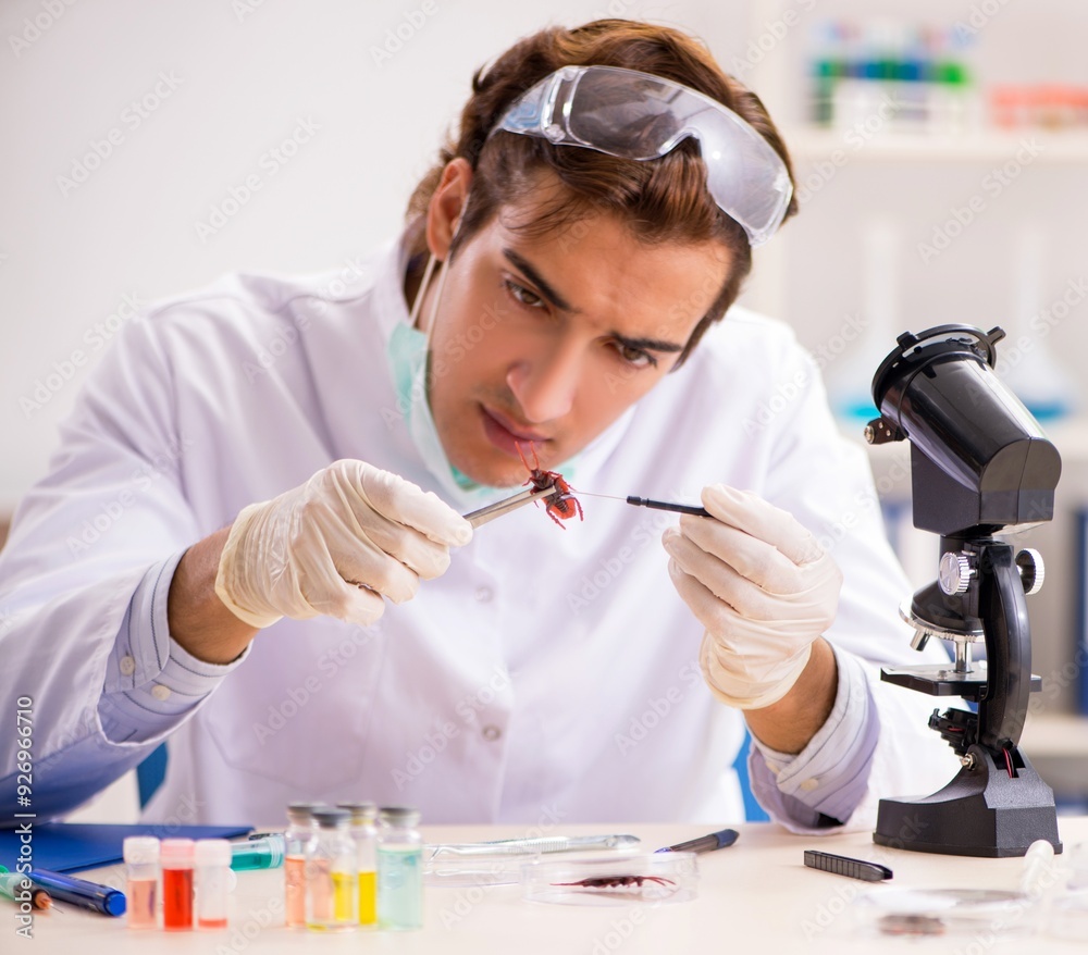 Male entomologist working in the lab on new species Male entomologist working in the lab on new species